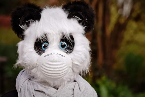 스핀셰이크 카지노 지원